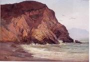 Henry Otto Wix Rocky Coast with Birds France oil painting artist